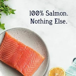 Stewart Freeze Dried Canine Treats Wild Salmon 95 Oz Grain Free  Gluten Free Resealable Tub Single Ingredient Coaching Deal with in Beef Liver Salmon Hen Liver  Hen Breast 4 14 21 Oz  Cucciolini Doodles Stewart freeze dried canine treats wild salmon 9 5 oz grain free  gluten free resealable tub single ingredient coaching deal with in beef liver salmon hen liver  hen breast 4 14 21 oz   cucciolini doodles