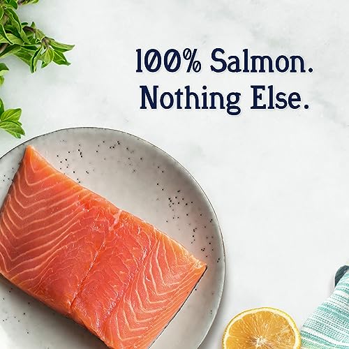 Stewart Freeze Dried Canine Treats Wild Salmon 95 Oz Grain Free  Gluten Free Resealable Tub Single Ingredient Coaching Deal with in Beef Liver Salmon Hen Liver  Hen Breast 4 14 21 Oz  Cucciolini Doodles Stewart freeze dried canine treats wild salmon 9 5 oz grain free  gluten free resealable tub single ingredient coaching deal with in beef liver salmon hen liver  hen breast 4 14 21 oz   cucciolini doodles