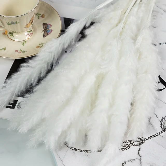Véritable petite herbe séchée bouquet de mariage plantes naturelles décoration d'intérieur fleurs artificielles séchées Phragmites fleur ornementale