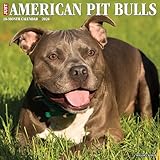 American Pit Bull Terriers 2026 Wall Calendar