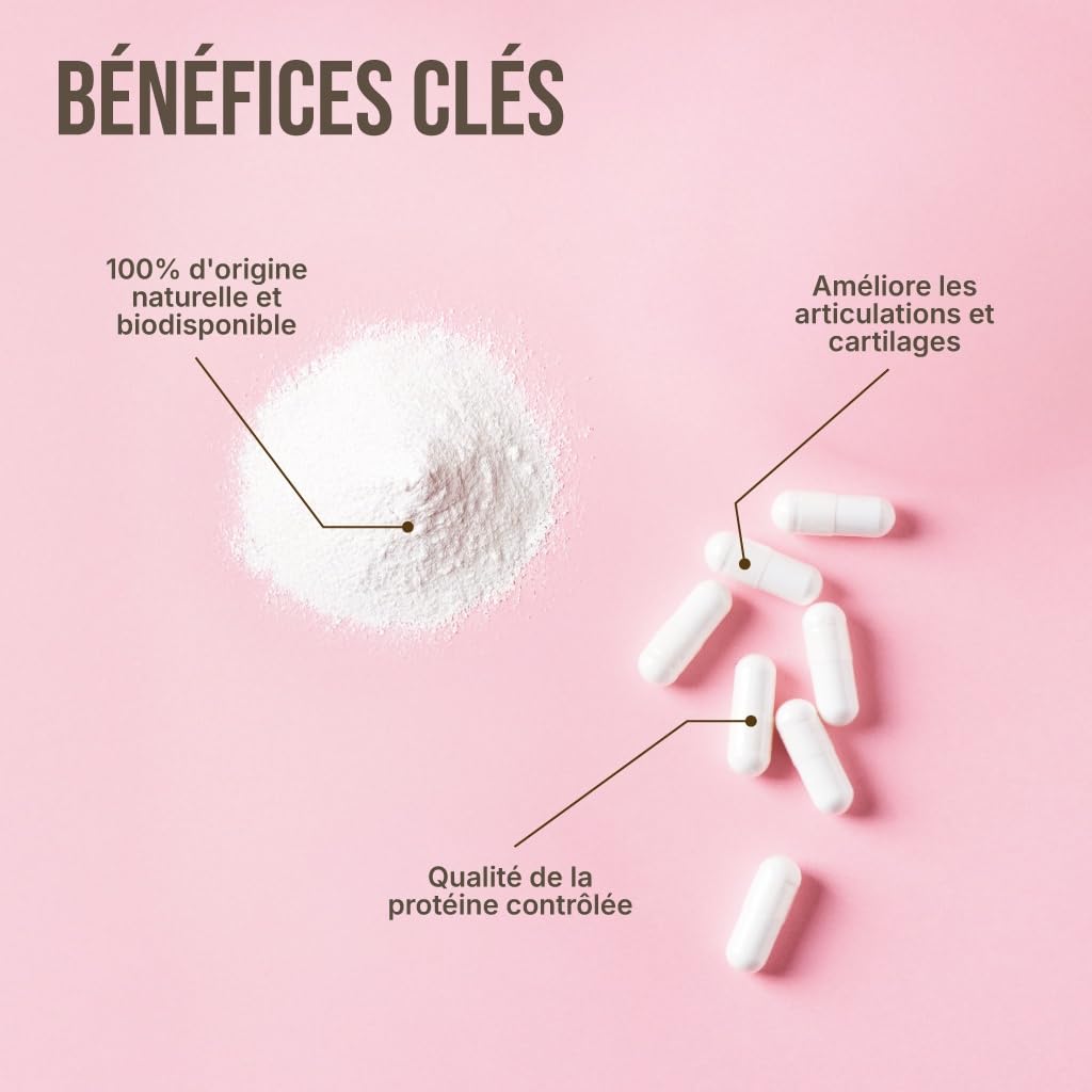 Collagène Type 2 Breveté - Articulations - Tendons - Muscles - Enrichi en Vitamine C - 360 gélules - YAM Nutrition