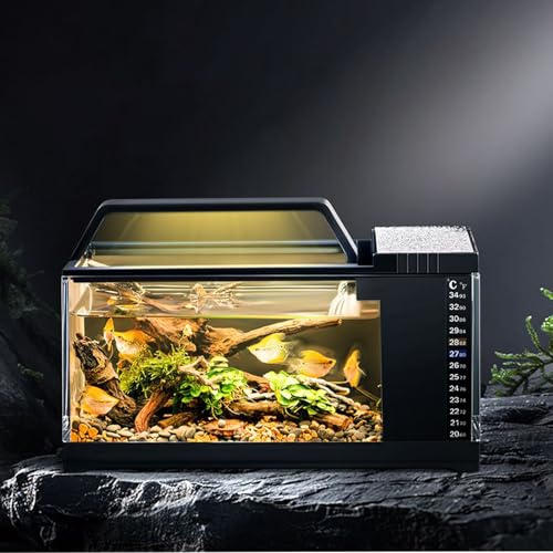 Filtre automatique E à vis hermétiques pour simplifier l'eau - 3