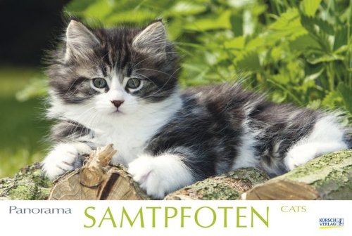 Samtpfoten 2015: PhotoArt Panorama Kalender Samtpfoten 2015: PhotoArt Panorama Kalender