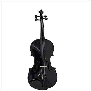 バイオリン 本体 黒ケース付き 51dXDpk9QIL._AC_UF350,