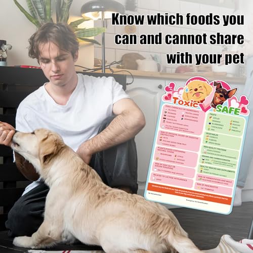 Imán decorativo guía alimentos tóxicos y seguros para perros miniatura 5