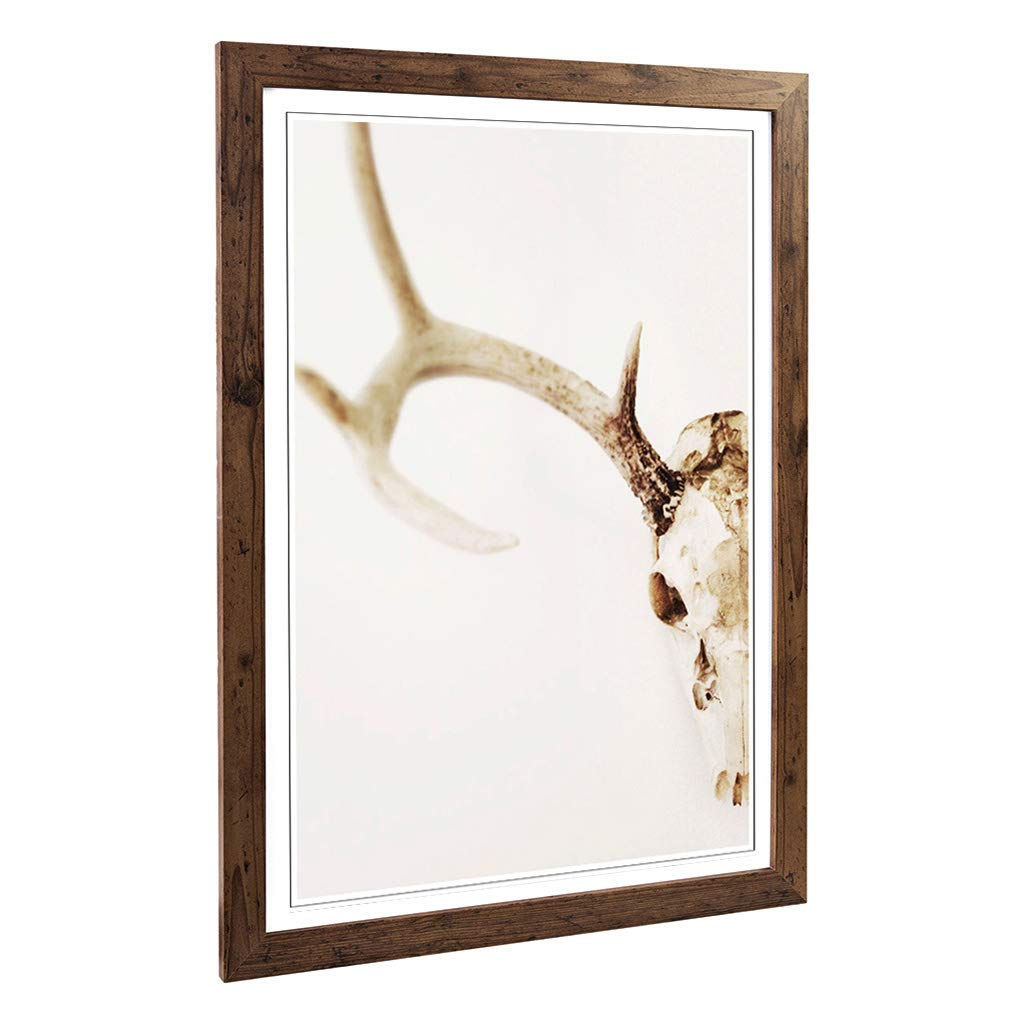 Big Box Art Framed Print of Stag Skull Design | Wall Art Picture | Home Decor for Kitchen, Living, Dining Room, Lounge, Bedroom, Hallway, Office, Walnut, A2 / 24.5x18 Inch / 62x45cm