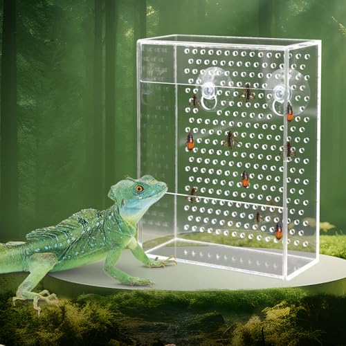 Bearded Dragon Feeder, Chameleon Bug Bowl, Transparentk Acrylic Reptile Feeder Box, Wall-Mounted Insect Food Dish with Suction Cups, Tank and Aquarium Accessories for Lizard Bearded Dragon Gecko Frog