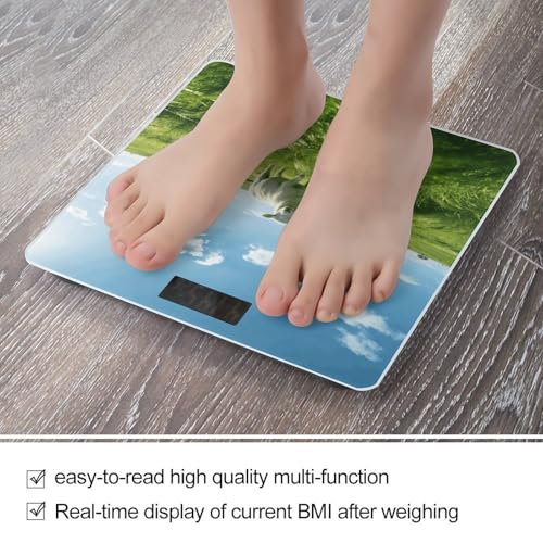 Báscula Digital Green Prairie Stroll, Hasta 180 kg miniatura 5