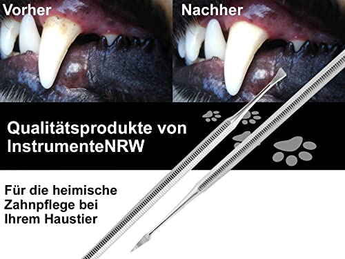Hunde Zahnsteinentferner Set Zahnreiniger für Tiere 2-Teilig aus Edelstahl Scaler und Flügel vom Fachhandel mit Zahnsteinkratzer – Bild 5