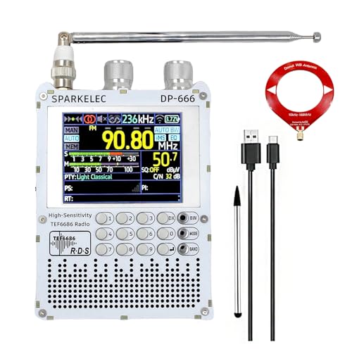 Radio portátil Full Band DSP DP-666 con pantalla color 2.8"