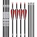 26 inch Carbon Arrow Hunting Arrows with 100 Grain Removable Tips for Archery Compound & Recurve & Traditional Bow Practice Shooting (Pack of 12)