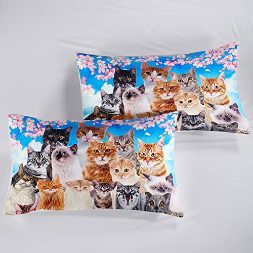 Bailipromise Kawaii Cute Cat Bedding Fitted Sheet 3D Pet Cats Bedding Sheets For Children Kids Boys Girl Kitten Bed Sheet Set Cat Animal Bed Cover Bedroom Collection 4Pcs Bedding Full #TOP4