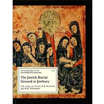Paperback The Jewish Burial Ground at Jewbury Book