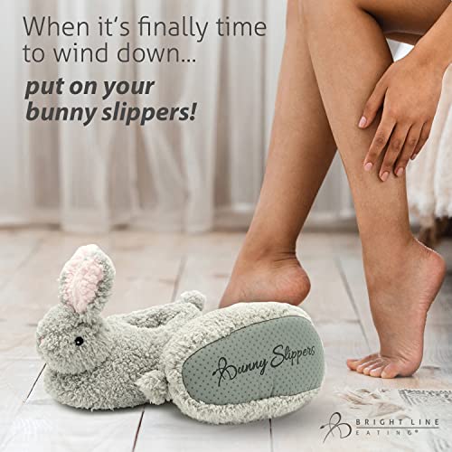 Bright Line Eating Bunny Slippers Women's House Shoes4