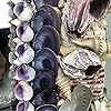 50cm Handmade PINK Coral Barnacle Mirror - Statement Sea Shell Coastal Purple #2