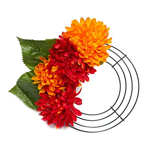 6 Pack Metal Wire Wreath Frame, 8 Inch Round Diy Floral Wreaths Crafting For Christmas Door Decorations #TOP5