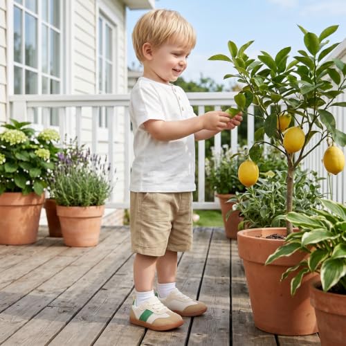 Toddler Barefoot Sneakers | Wide Fit for Boys and Girls - image 3