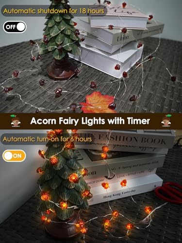 Image of EXF Fall Decor Acorn Fairy Lights Battery Operated with Remote 10FT 30 LED