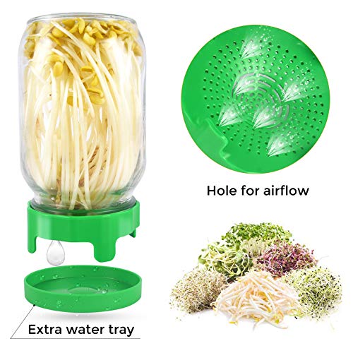 Sprouting Jars Kit Set,Wide Mouth Mason Jar with Plastic Sprouting Lids and Water Trays ,Set of 2,Seed Sprouting Kit for Growing Bean Sprouts,2 Color - Thumbnail 5