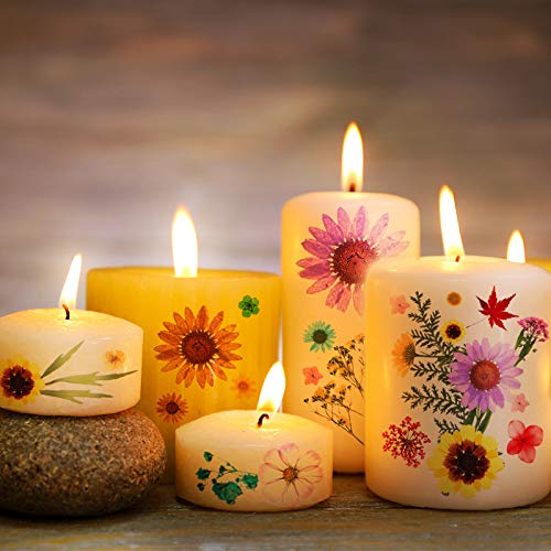 110 Piezas Flores Secas Prensadas para Resina con Pinzas y Caja miniatura 5