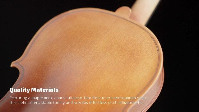 SONICAKE Violin 4/4 Full Size Fiddle Set Solidwood for Adults with