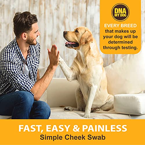 Dna My Dog Genetic Testing Kit – Mixed Breed Identification, Personality Traits – for Puppies to Adult Dogs, Non… - Image 8