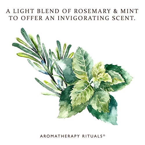 Aromatherapy Rituals, Hemp And Coconut Body Lotion, Rosemary Mint, 1 Large #TOP3