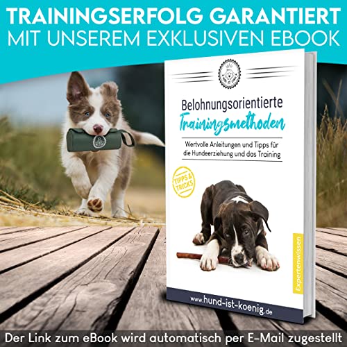 HUND IST KÖNIG Futterdummy für Hunde - Apportierbeutel für alle Hunderassen - Futterbeutel - Perfekt für Dummy Hundetraining + Trainings-eBook