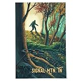 24x36 Inch Giclee Print, Signal Mountain, Tennessee, Wanderer, Bigfoot in Forest