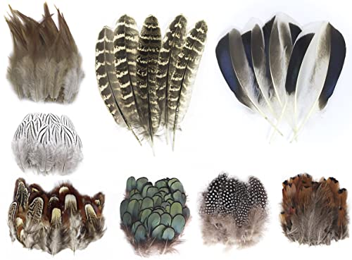 MAHAVIMOKSA 200pcs Mixed 8 Styles Natural Feather for DIY Craft Earring Wings Wedding Party Home Decoration