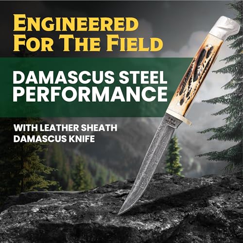 Bear & Son 6-3/8" Full Tang Small Hunter Knife - 563D - 3" Damascus Steel Blade - Genuine Stag Bone Handle with Leather Sheath - Compact Lightweight Camping, Hiking, Bushcraft & Outdoor Hunting Knife by Bear & Son - Image 3