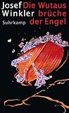 Die Wutausbrüche der Engel: Winnetou, Abel und ich und Die Realität so sagen, als ob sie trotzdem nicht wär (suhrkamp taschenbuch) - Josef Winkler 