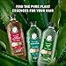 Herbal Essences Bio: Renew Aloe + Eucalyptus Sulfate Free Shampoo Scalp Balance, 13.5 Fl Oz, 5.491 Fl Oz