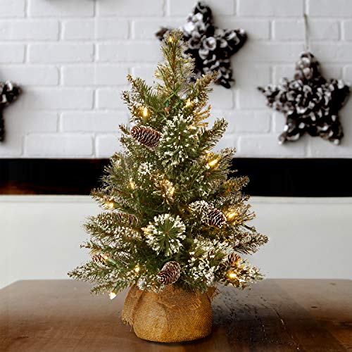 National Tree Company 2 ft Pre-Lit Glittery Bristle Mini Artificial Christmas Tree, 15 Warm White LED Lights, Pinecones, Timer, Burlap Base, Green by National Tree Company - Image 2