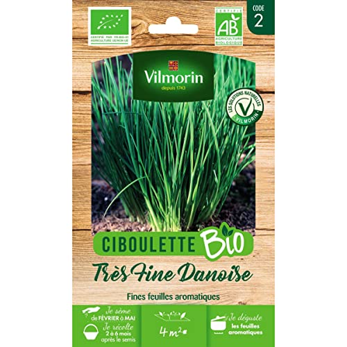 Vilmorin - Sachet graines Ciboulette très fine danoise BIO - Allium schoenoprasum