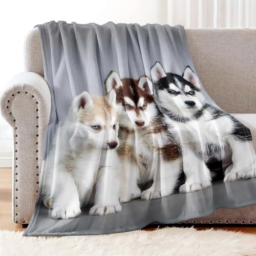 YISUMEI - 150 x 200 cm Decke - Siberian Husky Puppies Dogs Haustiere Fleecedecke,Kaschmir-Gefühl Kuscheldecke Geeignet für Bett oder Sofa