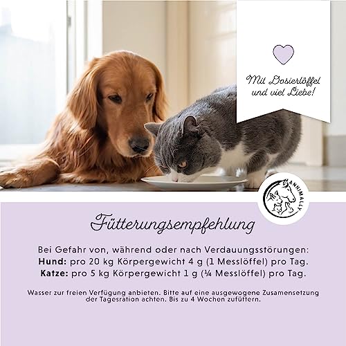 Annimally Hunde & Katzen Darmkur Pulver 250g I Darmsanierung Hund Katze Probiotika und Präbiotika zum Darmflora aufbauen - Ideal als Darmaufbau bei Durchfall, nach Wurmkur oder Magen Darm Infekt