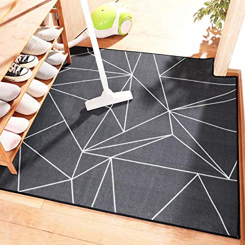 Preisvergleich Produktbild APPWLING Hauseingangstür tragen Nylon Bodenmatte benutzerdefinierte Nordic einfache Zuhause Schlafzimmer Wohnzimmer Sofa großen Teppich @ Victoria_Dreamland_80 * 120cm
