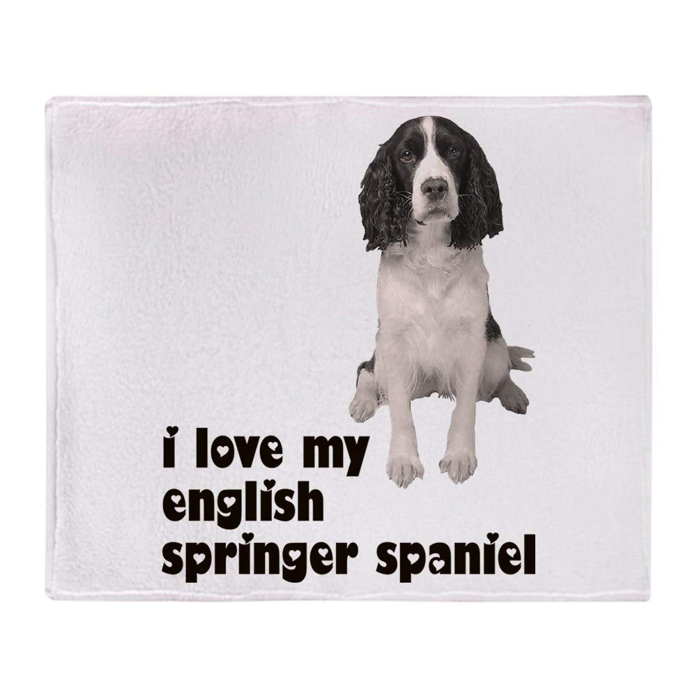 i love my springer spaniel