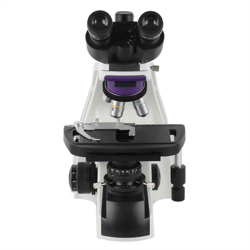 Microscopio 1000X HD 1080P 11.6" LCD Cámara Microscópica Laboratorio Profesional Trinocular Microscopio Biológico Cámara de Video Microscopio，Binocular