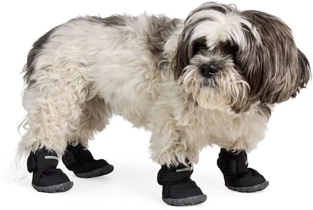 YOULY All-Weather Wrap Dog Boot Small