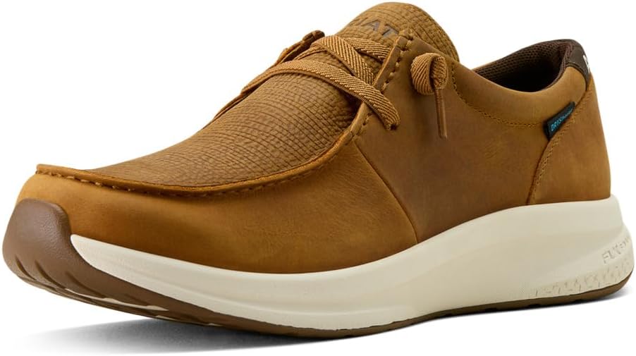 Ariat Men's Buckeye Waterproof Shoe