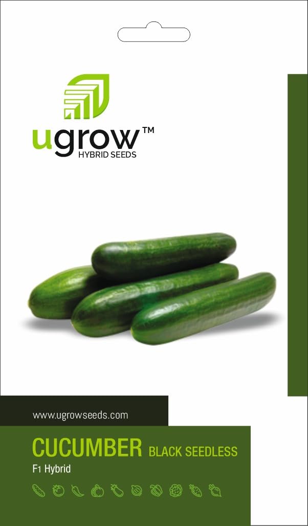 Gardenify India Dark Green Cucumber Seeds (50 Seeds/packet) (B093VB12Q7) Amazon Price History, Amazon Price Tracker