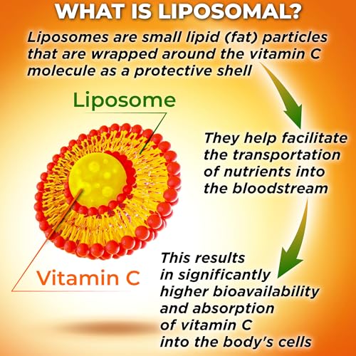 Supplements Studio MV1006 Liposomal Vitamin C Capsules - 1500Mg - Made With Organic Acerola Cherries & Camu Camu, High Potency Vitamin C Liposomal - Immune Support Supplement thumb #2