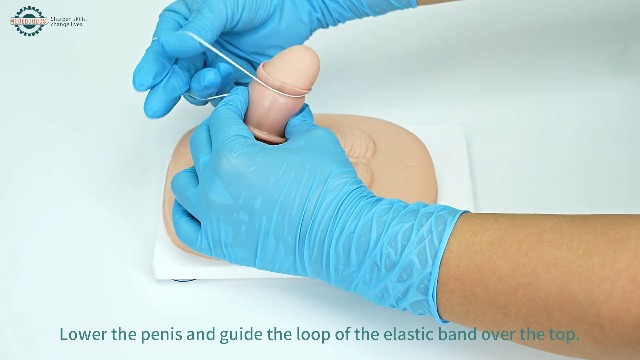 Image of Adult Male Circumcision Trainer Kit for Medical Students, Circumcision Simulator Set with Circumcision Tools for Practice Training-Light