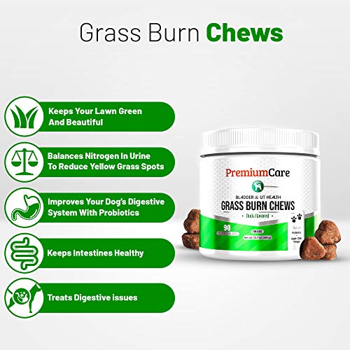 Buy PREMIUM CARE Grass Burn Spot Chews for Dogs Made in USA Vet