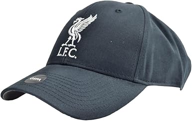リバプールFC LFC キャップ 2025日本ツアー限定 リバプールFC LFC キャップ 2025日本ツアー限定 - メルカリ