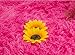 Forever Lover Soft Indoor Morden Shaggy Area Rug Pad, 2.5 X 5-Feet, Hot Pink
