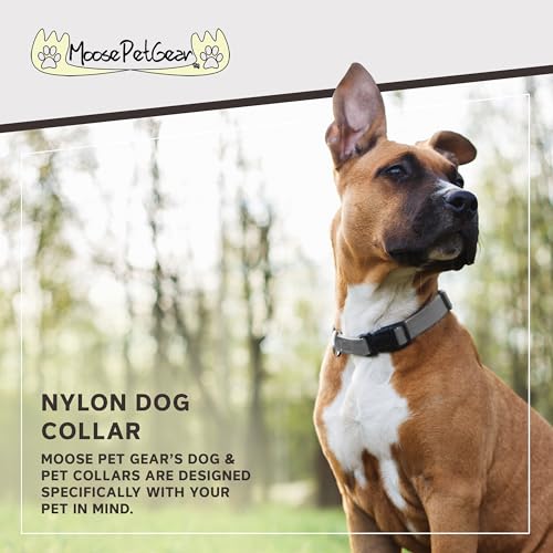 Image of Dog Collar - Colored Adjustable Pet Collars - 3 /4 Inch Wide, Small, Silver Gray