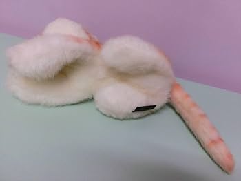 Amazon.co.jp: レトロ 三英貿易 スコティッシュフォールド 猫